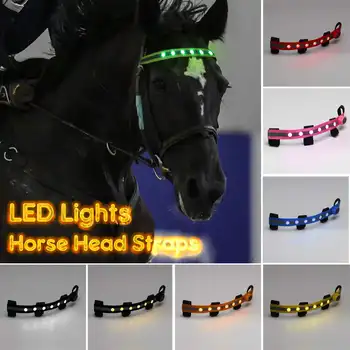 

LED Horse Riding Head Harness Colorful Lighting Equestrian Equipment Luminous Tubes Straps Saddle Halters Accessories