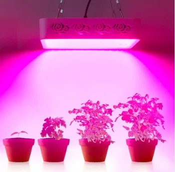 

Full Spectrum 300W Led Grow Light Lamp for Hydroponic Indoor greenhouse plants Veg Growing CE FCC RoHs approved Grow Tent