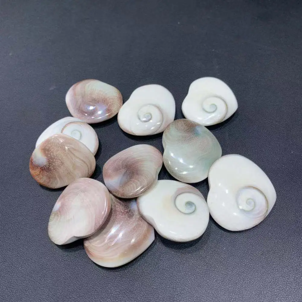 

High Quality Natural Shell Fossi Heart Crystal Stone Heart For Wedding Gift