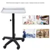 Aluminium Hair Salon Instrument Tray Adjustable Height Tray Trolley For Beauty Salon Tattoo Body Art Tools Five-foot free wheel ► Photo 1/6