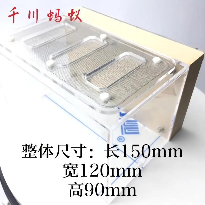 Gypsum & Acrylic Ants Nest Ants Farm 15*12*90mm With Feeding Area For Big Ants Big Colonies