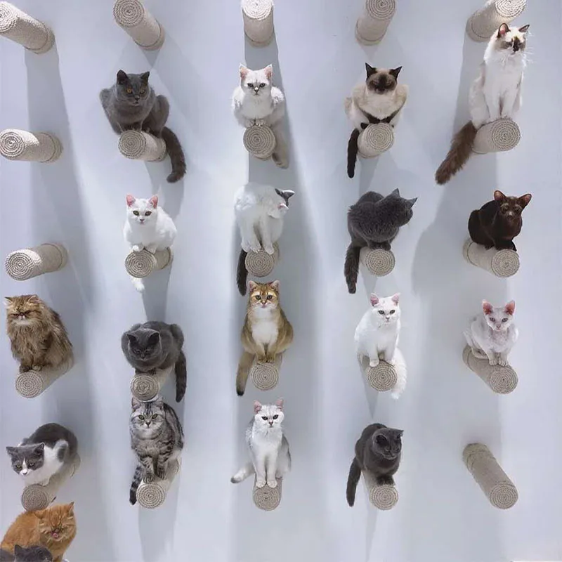 Настенный плавающий сизаль шаг кошка дерево дом скребок Когтеточка котенок