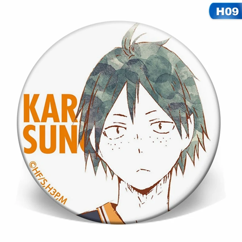 Anime Haikyuu!! Brooch Badge Cosplay Brooch Pins Schoolbag Accessory ladies halloween costumes