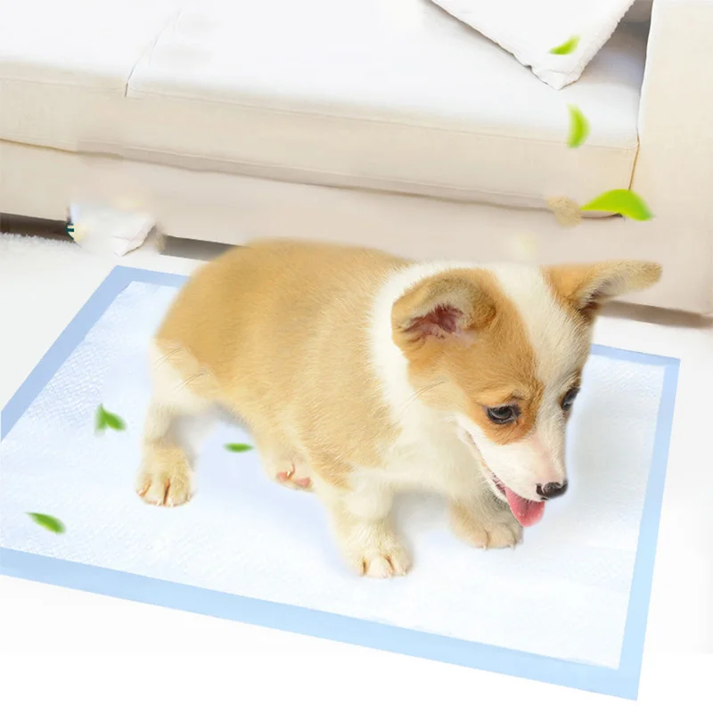 Pet Diapers Dog Diapers Dog Nappies 10pcs Disposable Dog Diapers Pads Super Absorbent For Dogs Cats Puppy