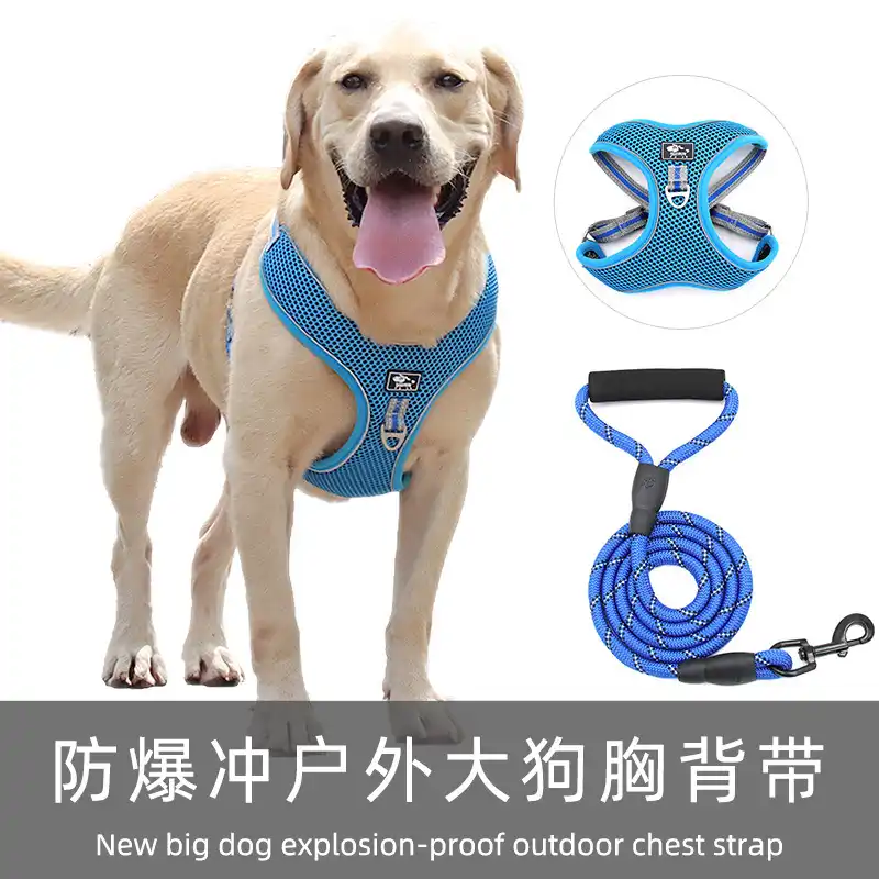 犬の首輪犬の鎖犬ペット犬用ハーネス犬アクセサリーネックレス犬のアクセサリー大型犬発光襟 ハーネス Aliexpress