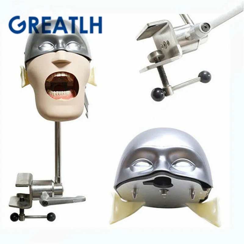 US $514.90 Dental Manikins NISSIN Teeth Head Model Dentistry Practise Models Phantom Head Dental Teaching Model