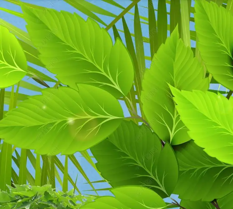 360截图20200414144702738