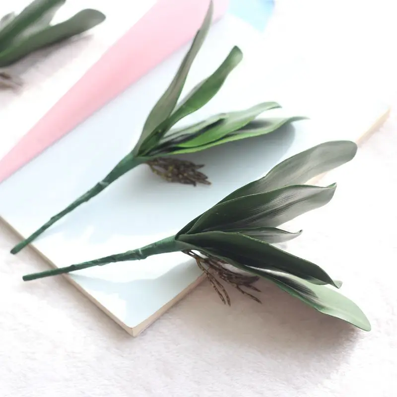 3719572029_1885843273