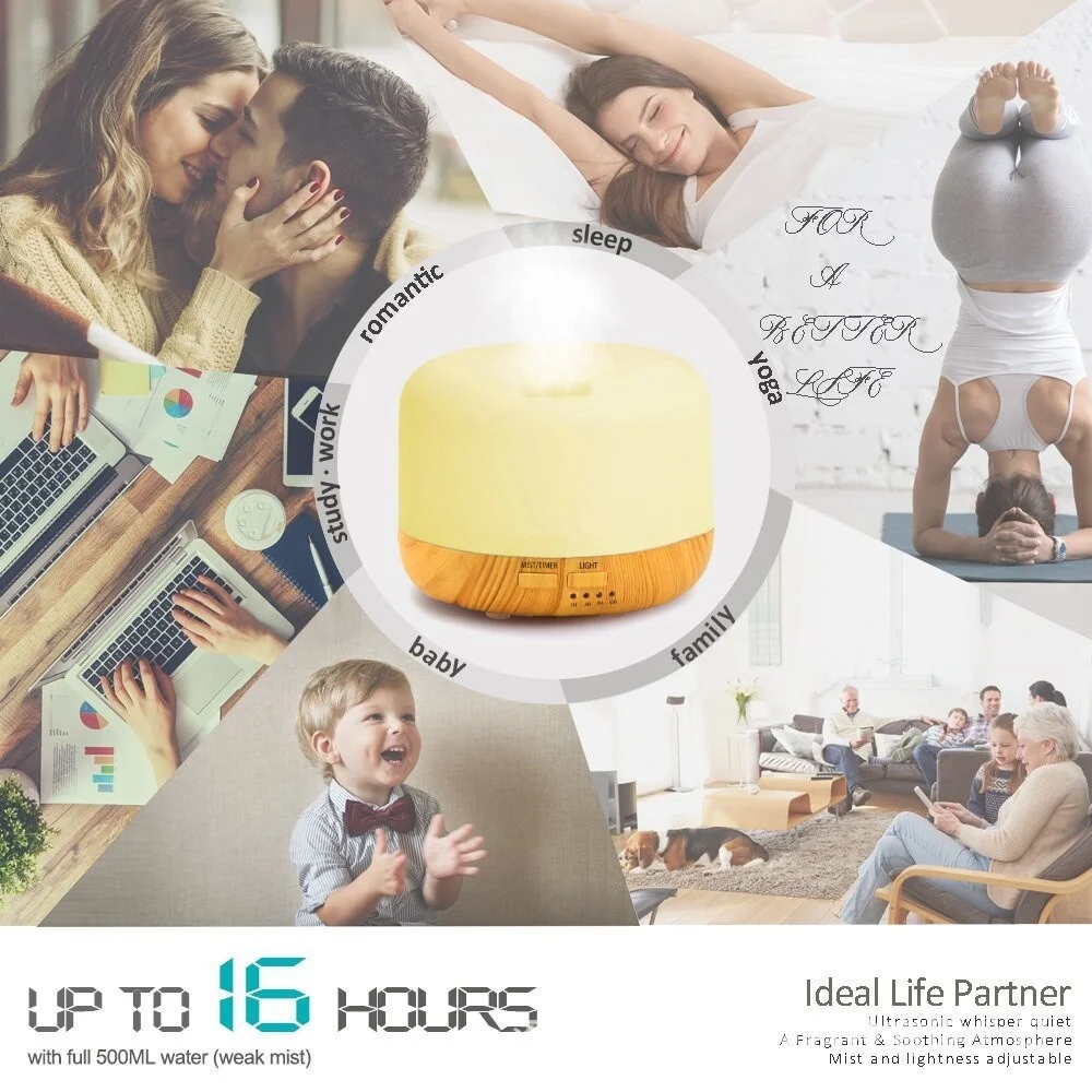 4254588557_1257973249