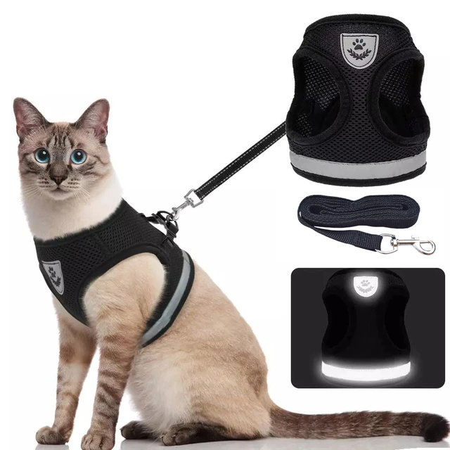 Harnais réglable Anti-fuite pour chat, gilet pour petit chat, harnais de  câblage léger, respirant, doux, ceinture de Traction pour animaux de  compagnie, veste de marche pour chaton - Type Black-L