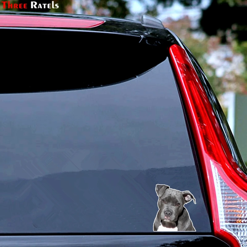 Three ratels FTC-804# 14x15.4cm cute American pit bull terrier American Staffordshire dog Window Decals Car Styling Car Sticker