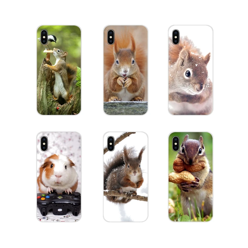 For LG G3 G4 Mini G5 G6 G7 Q6 Q7 Q8 Q9 V10 V20 V30 X Power 2 3 K10 K4 K8 2017 Case Cover squirrel Guinea Pig Mouse peanut greedy | Мобильные