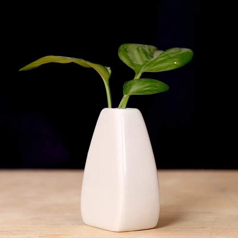 Small Ceramic Vases Use in Home Office Decor for Flowers, Green Plants & Dried Flower Vase for Wedding Table Centerpiece Decor 5