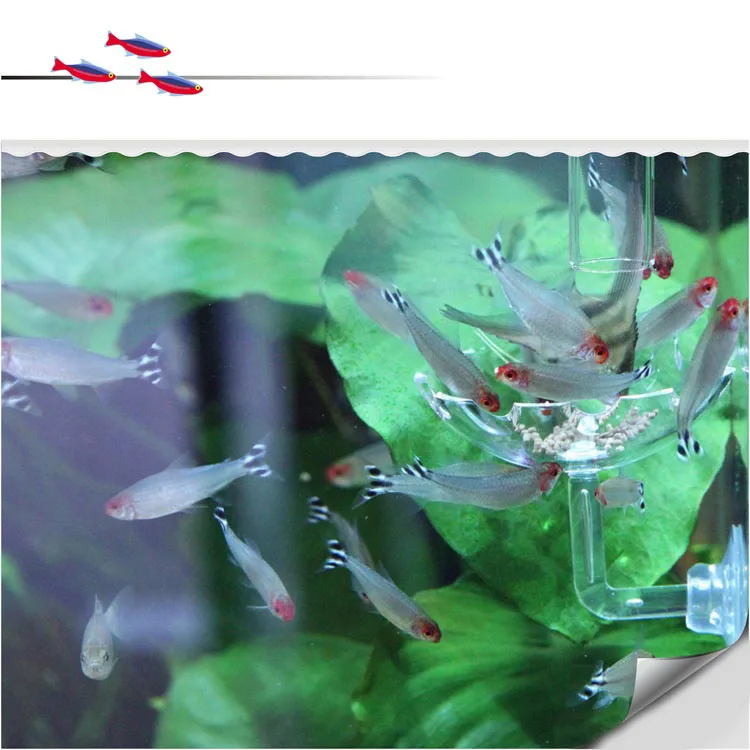 O1CN01BOTmyc1VbonKpZEha_!!756162672