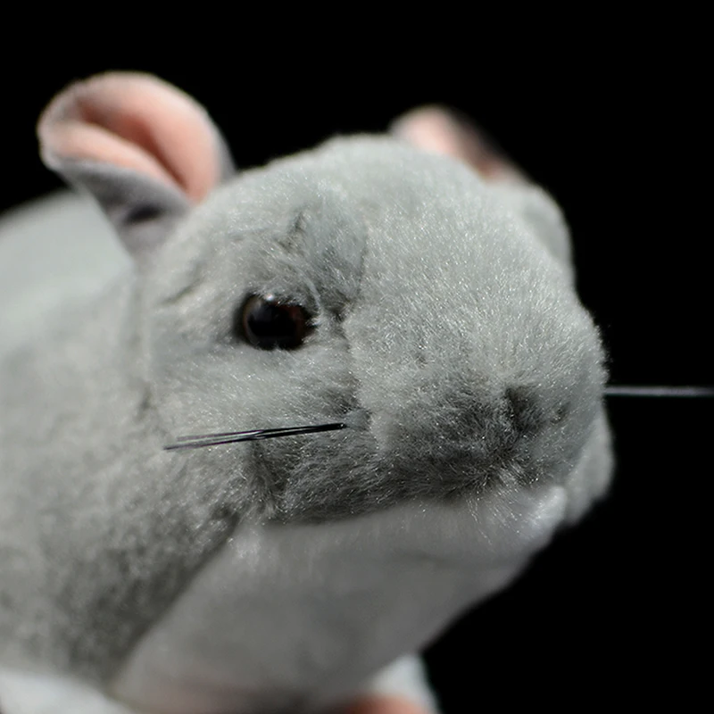 Милые Chinchillidae Chinchillas lanigera Molina настоящая жизнь плюшевые игрушки мягкие куклы реалистичные животные Дети каваи Рождественский подарок