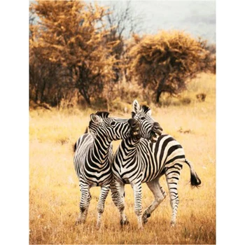 

Diamond mosaic Diy Diamond embroidery animals 5d square drill picture of rhinestones Paste full Diamond Painting Steppe zebra