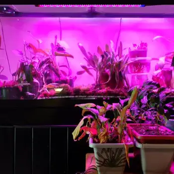 

Full Spectrum Flower Plant Phyto Growth Lamp USB Led Grow Light Strip For Indoor Greenhouse Hydroponic Grows Lights for Home