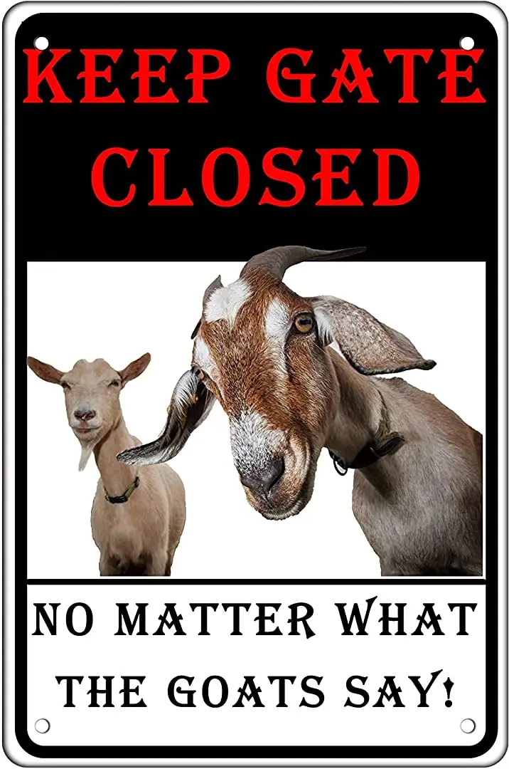 Warning Metal Tin Sign Goats Outdoor Funny Novelty Caution Goats Farm House Barn Sign for Fence Wall Gate 8x12INCH… Keep The Gate Closed No Matter What The Goats Say