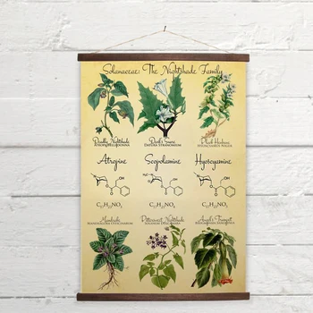 

Vintage Botanical Poster Prints Deadly Nightshade Retro Halloween Decoration Painting Witchcraft Apothecary Herbs Canvas Picture