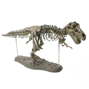 

Figures PVC Bones Educational Gift Toy 3D Non Toxic Skeleton Fossils Models Skull Simulation Animal Home Decoration Large