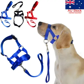 

2020 Creative Dog Halter Halti Training Head Collar Gentle Leader Harness Nylon Breakaway All Seasons Usefull Harnesses Lead hot