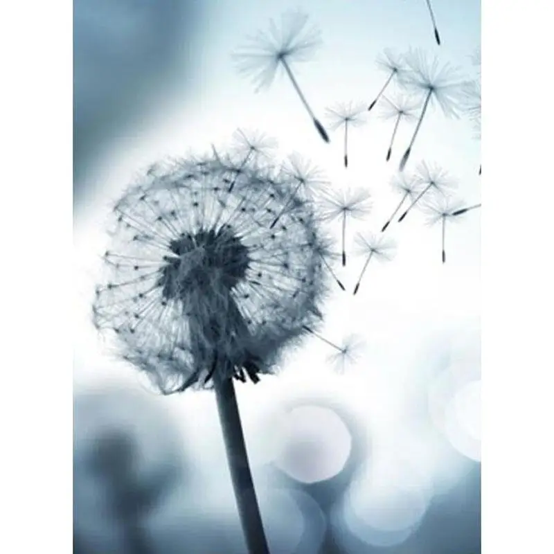 Full SquareRound Drill 5D DIY Diamond Painting black white dandelion Embroidery Cross Stitch 5D mosaic Home Decoration Gift