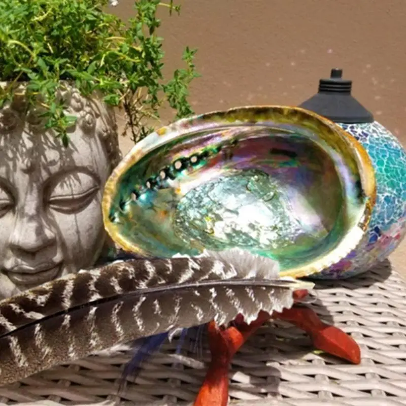 Natural Abalone Shell Large Sea Shells Nautical Home Decor Soap Dish Diy Fish Tank Aquarium Landscape Wedding Decor Abalone Shell Decor 10-12Cm