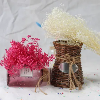 

Preserved Fresh Flower Dream Star DIY Eternal Flower Artificial Dried Flowers Artificial Decorations LC