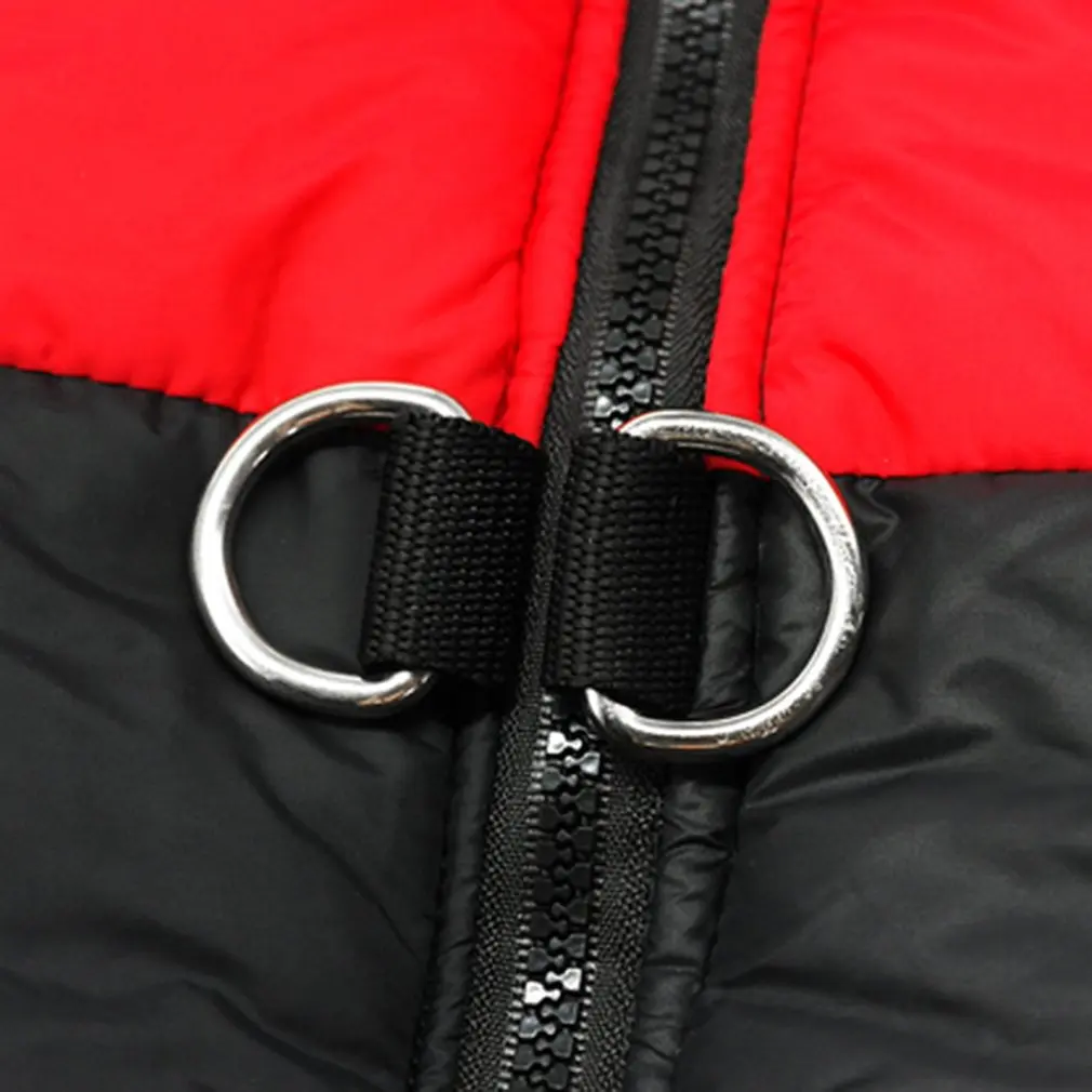 HW3174317-C-20190608-1.jpg