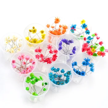 

10Pcs Pressed Dried Ammi Majus Flower Dry Plants For Epoxy Resin Pendant Necklace Jewelry Making Craft DIY Accessories