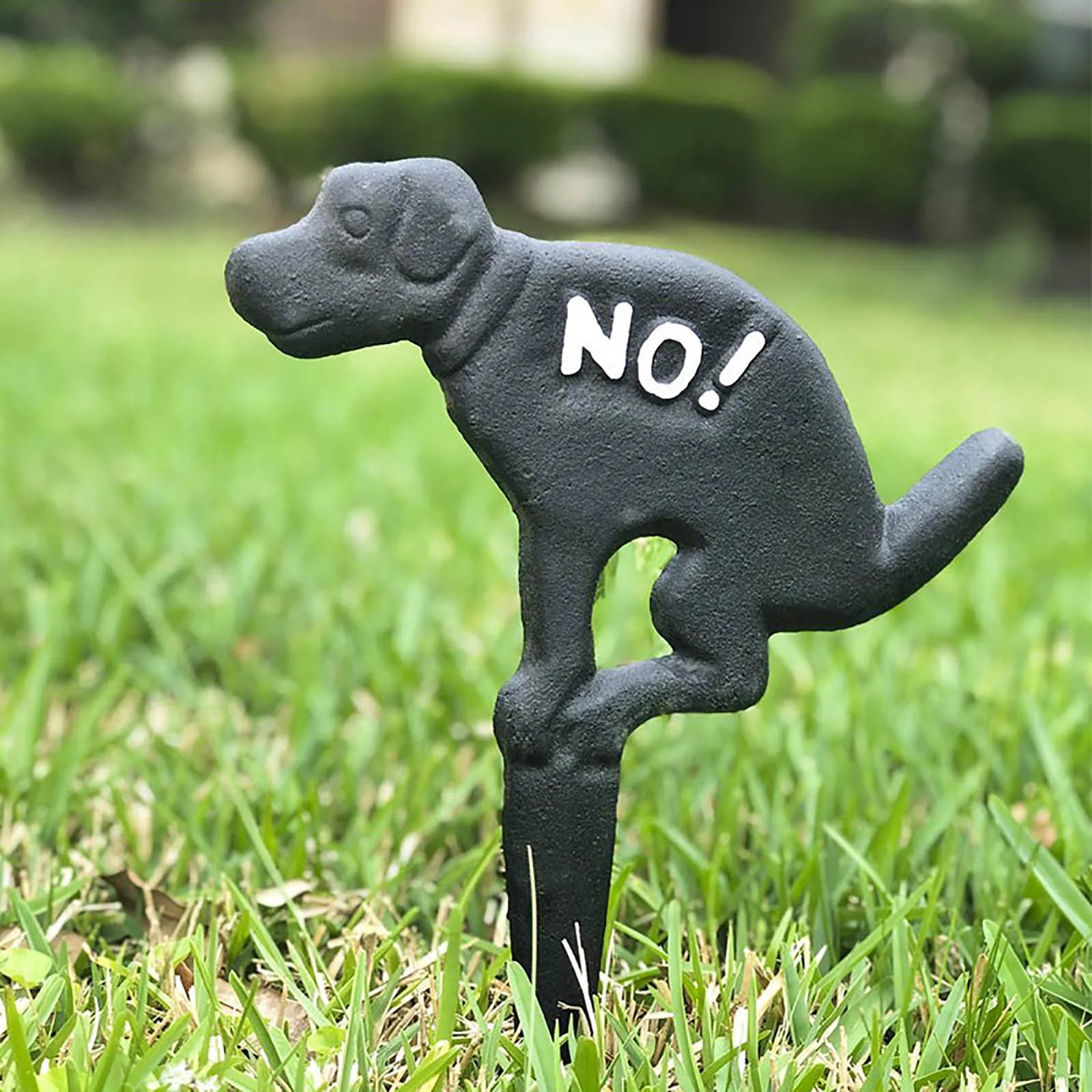 How To Get Dogs To Stop Pooping In Yard