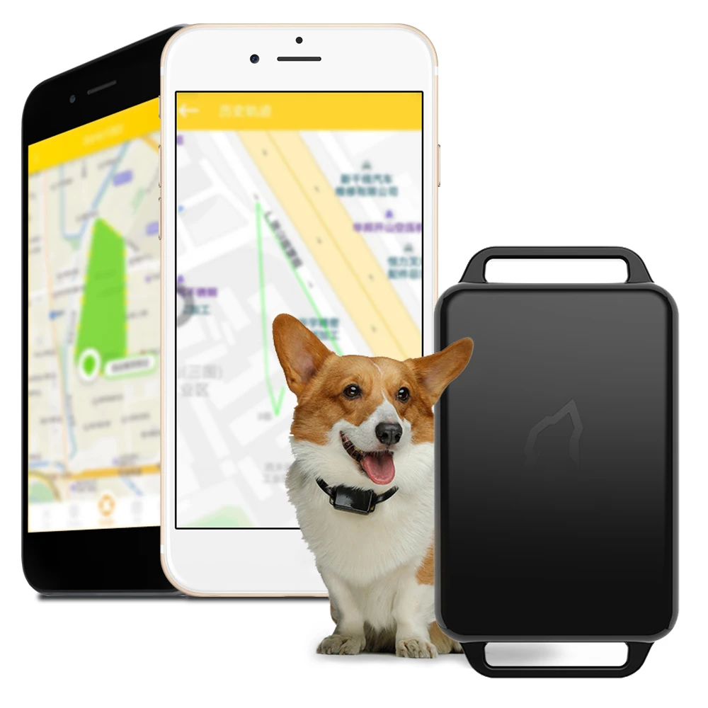 Gps трекер собака мини gps трекер приложение управление смарт-трекер для домашних животных Водонепроницаемый IP67 собака gps трекер активности с сим-картой