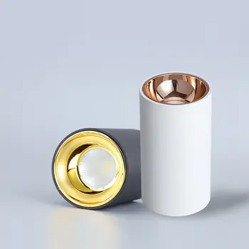 Cylinder Livingroom Kitchen Bedroom Foyer Offcer Rose Gold Dimmable LED Ceiling lights 5W 10W 15W 20W Ceiling lamp 2