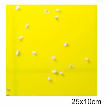 

Powerful Sticky Bugs Fly Trap Sticky Paper Traps Yellow Double-sided Long-lasting Adhesive Glue Sticker Board