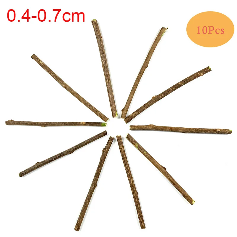 pawstrip 10pcs/lots Matatabi Pet Cat Toy Catnip Sticks Cleaning Tooth Pet Toy For Cats Actinidia Silvervine jouet chat 