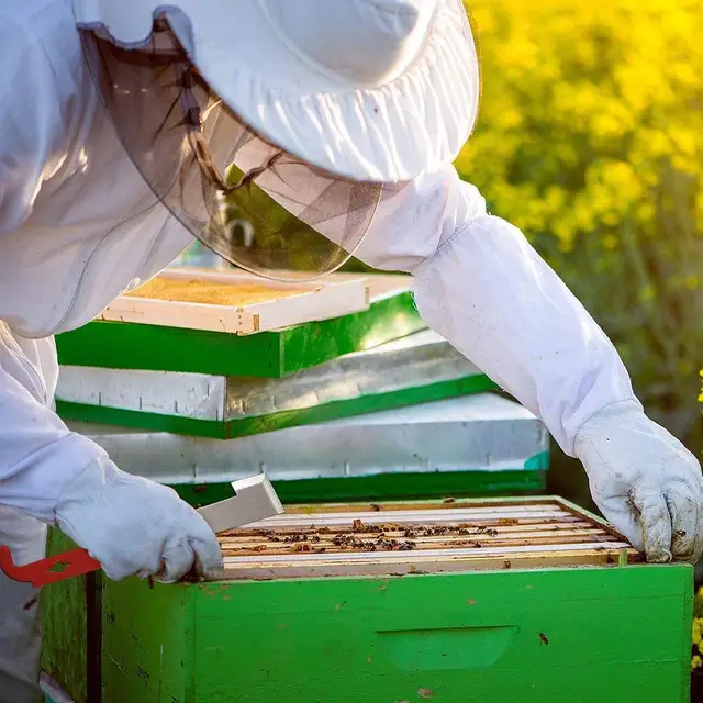 27 Cm-Es Méhészeti Acél J Alak J-Típusú Szerszám Méh Multifunkcionális Horogszerszámok Ívelt Vörös Farok Kaptár Kaparó Méhészet U4K6 - Image 4