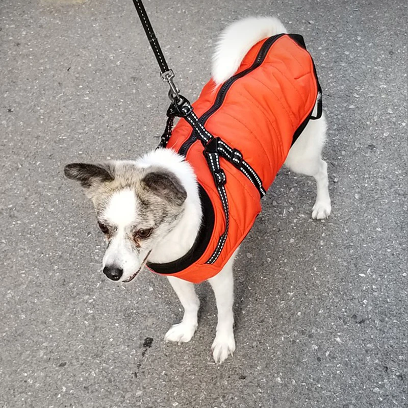 21640185302_644690080