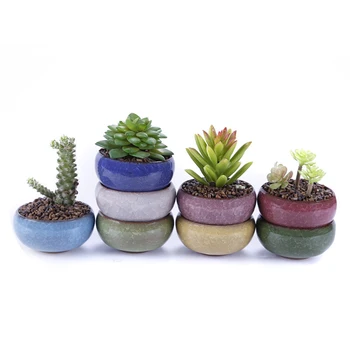 

1PC Mini Ceramic Flower Pot For Natural Succulents Plants Home Decoration Potted Plants Ornaments