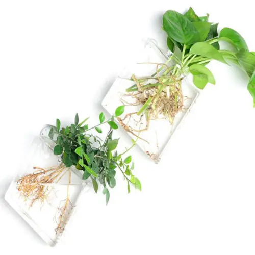 

Home CreativeVase For Room Decoration in Wall Hanging Glass Planter Air Plant Terrarium Flower Pots Vase Garden