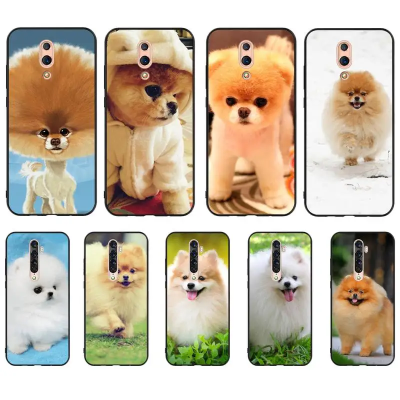 HTXian Pomeranian dog dogs Роскошный чехол для телефона OPPO A5 A9 A5S A1K A37 F7 F5 F9 RealmeX C2 C3 X2PRo XT 3 5 6Pro