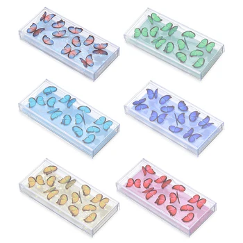 

Fashion Butterfly Pattern False Eyelashes Makeup Packaging Box Empty Lash Boxes Clear Plastic Fake Eyelash Case with Inside Tray