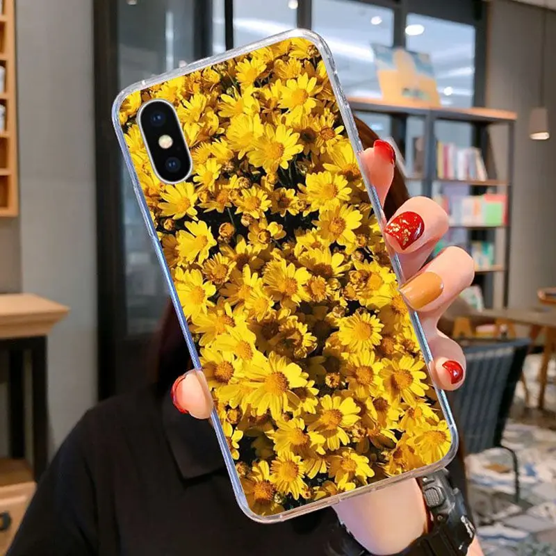 Yellow flower Small daisy sunflower