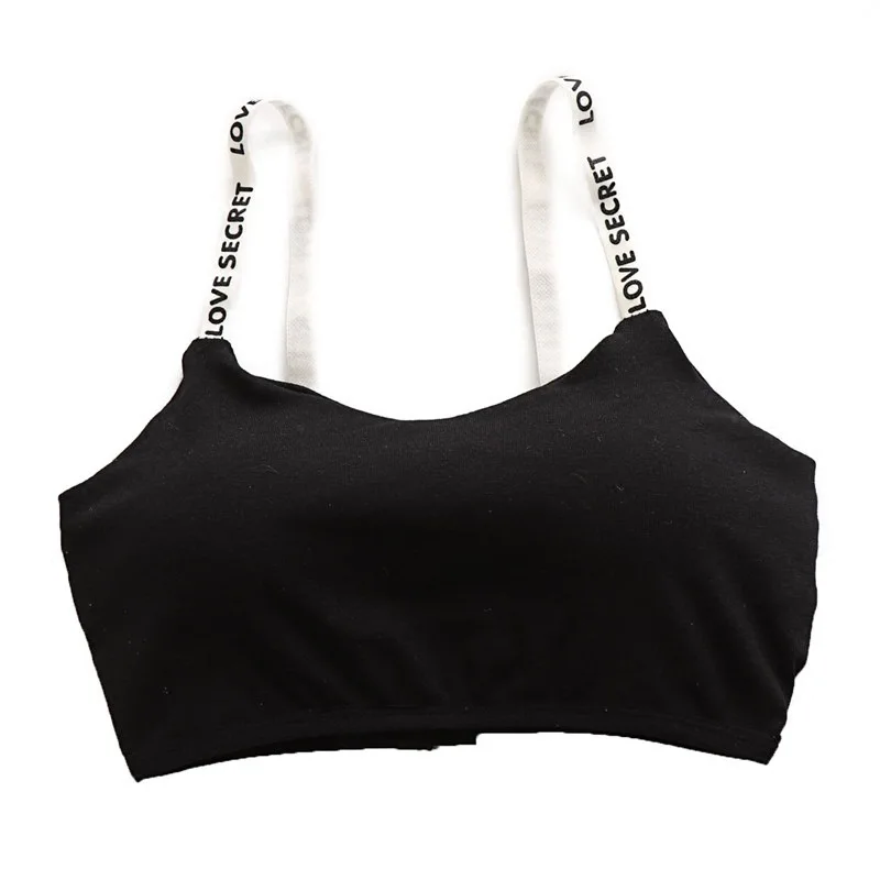 8704466311_1861056653