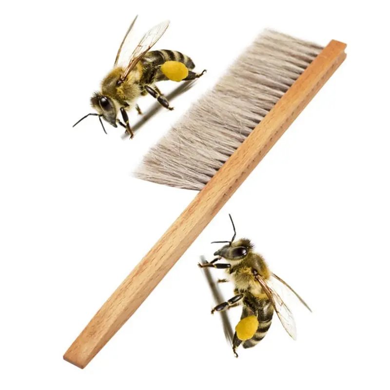 

Деревянные Инструменты для пчеловодства деревянная кисть для меда ОСА пчела развертки, украшенными двумя рядами конский хвост волосы New bee щетка пчеловодческий Инвентарь: