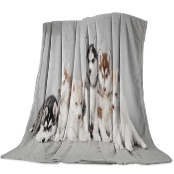 

Siberian Husky Group Of Cute Pet Dogs Spring and Autumn Soft Flannel Blanket Office Siesta Blanket Sofa Bed Blanket