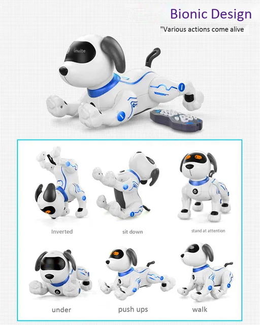 Robot interactif chat lumière et son en langue russe Jeux éducatifs  Robotique Chat Robot intelligent interactif Animal de compagnie Chat  Musique électronique Animal de compagnie Robo Chat Bleu : : Jeux  et Jouets