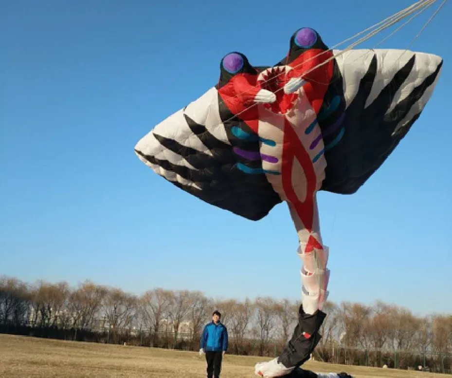 Большие воздушные змеи ripstop cerf volant vlieger большие для взрослых cometas para adultos kite flying toys