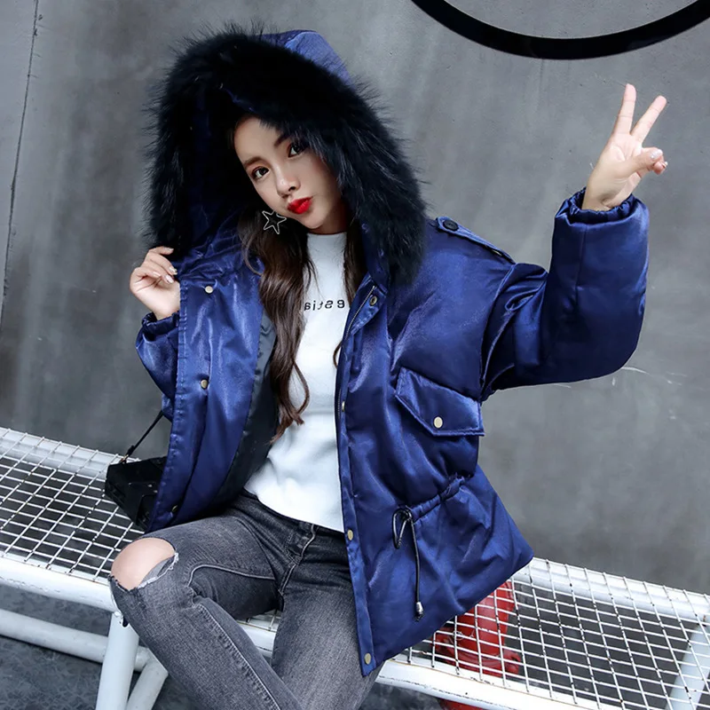 

Short Cotton-padded Clothes Female Winter New Style 2019 WOMEN'S Dress Korean-style Slimming Hooded Solid Color Large Fur Collar