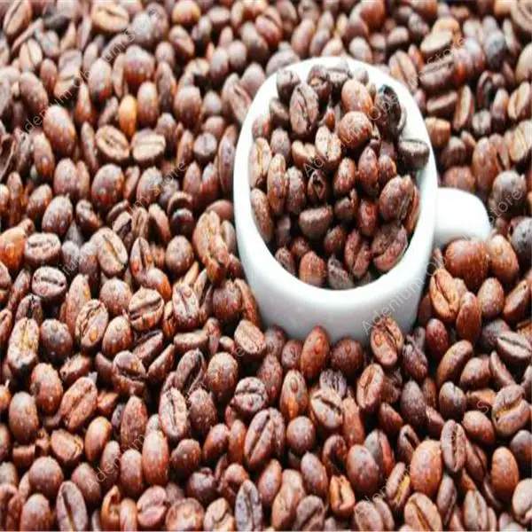 Big-promotion-Pure-Arabic-Coffee-Bean-Outdoor-Bonsai-Potted-Fresh-Arabica-Coffea-Tree-100-Natural-Coffeebean (5)
