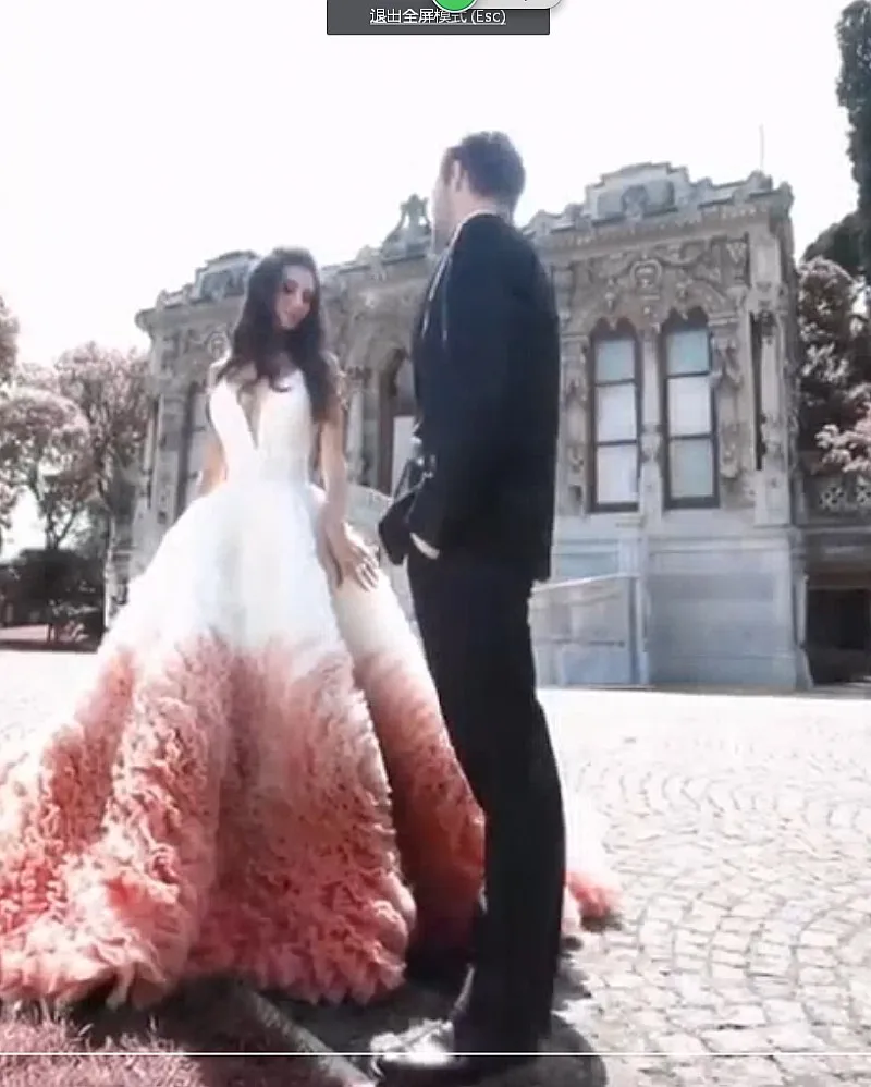 BacklakeGirls Newest Pink Tulle A Line V Neck Wedding Dresses Tiered Cathedral Train Backless Bridal Dress